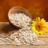 When Purchasing Sunflower Seeds Wholesale, Please Avoid These Common Mistakes