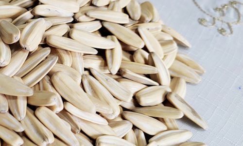 How to Find an Organic Sunflower Seed Supplier That Meets Your Standards