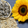 Ultimate Storage Tips to Keep Sunflower Seeds Fresh for Longer | GOODLUCK