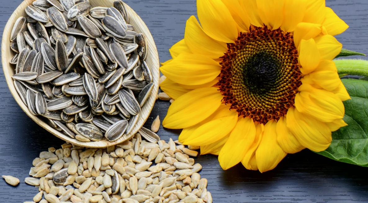 Sunflower Seeds