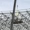 Long Span Space Frame Steel Structural FIFA stadium Roof Grid Steel Structure EPC Contractor