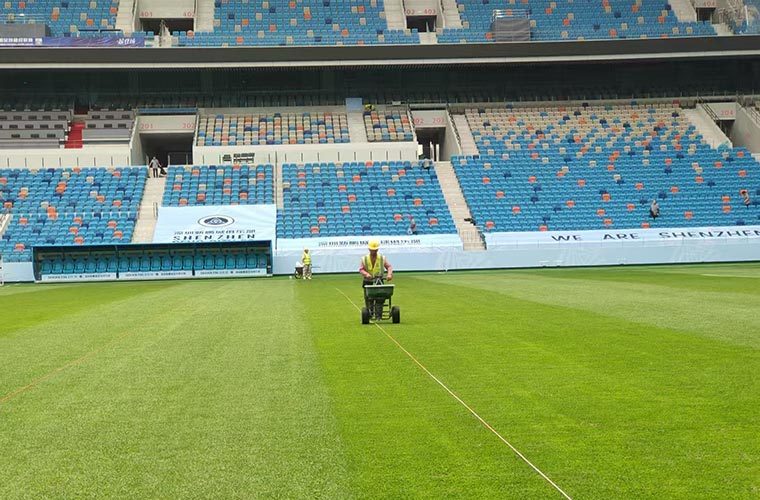 Main Stadium Natural Grass Pitch