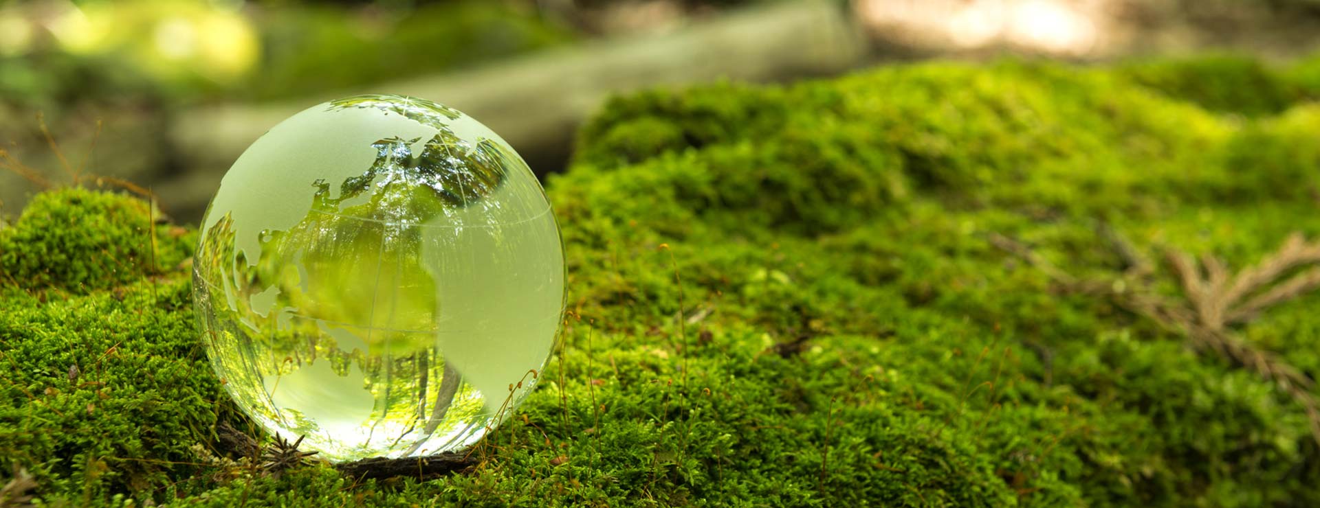 Public Sculptures Solution