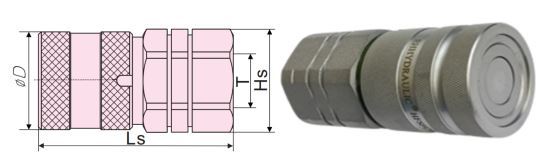 Flat/Flush Face Coupling (Steel) female