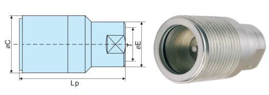 Screw-To-Connect Couplings With Wing Nut