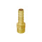 EH1501 Series | BRASS TAPER MALE HOSE TAIL FITTING (Brass)