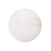 Custom Lotus Essence Shampoo for Personal and Salon Use