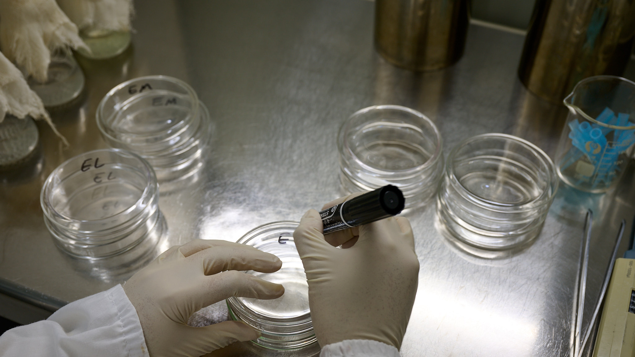LIZEE quality control laboratory with HPLC and GC testing instruments