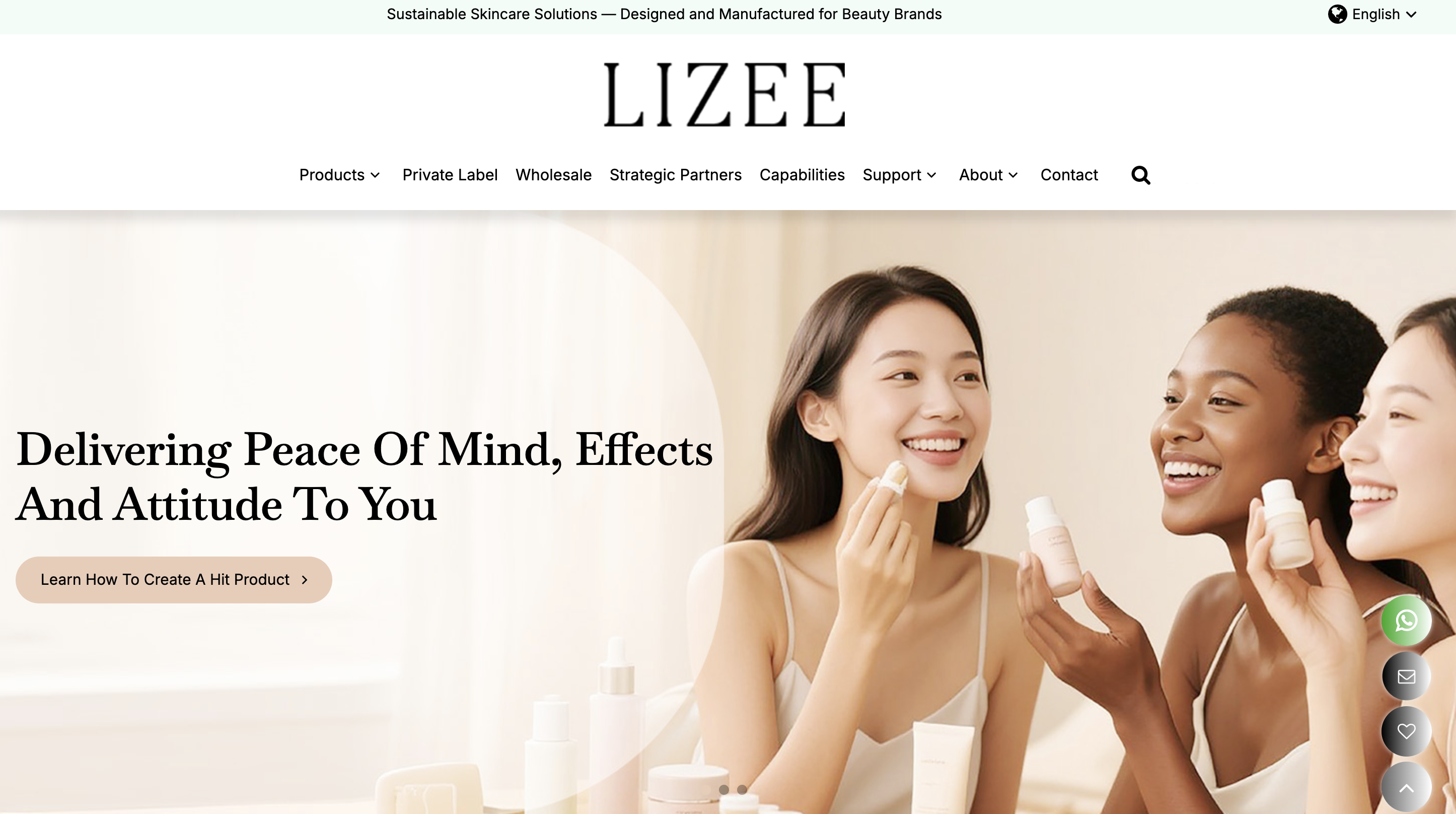 The Image of LIZEE's Main Site