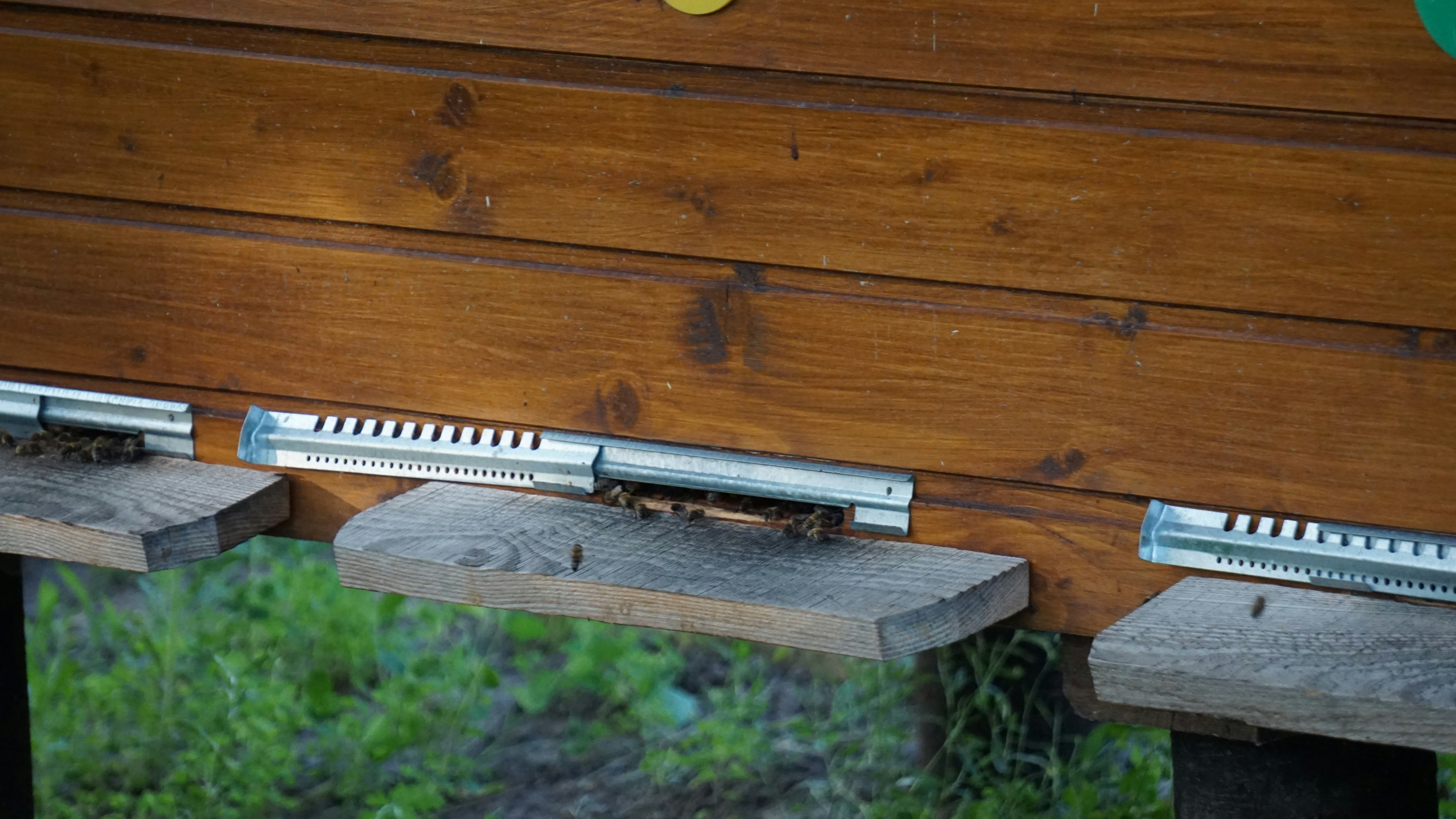 A custom steel carabiner attached to a kayak anchor trolley system