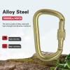 45KN Heat Treated Cold Forged Steel Screw Lock Carabiner Heavy Duty Industrial Load Bearing Snap Hook