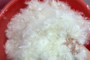 All About Down Filling: Everything You Need to Know