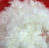 All About Down Filling: Everything You Need to Know