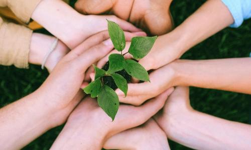 Dongguan Miu Seven Clothing launches green innovation, environmentally friendly technology reshapes the streetwear industry