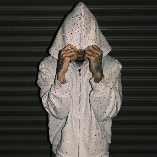 Custom Clothing Manufacturers Rhinestone 100% Cotton Casual Hoodies