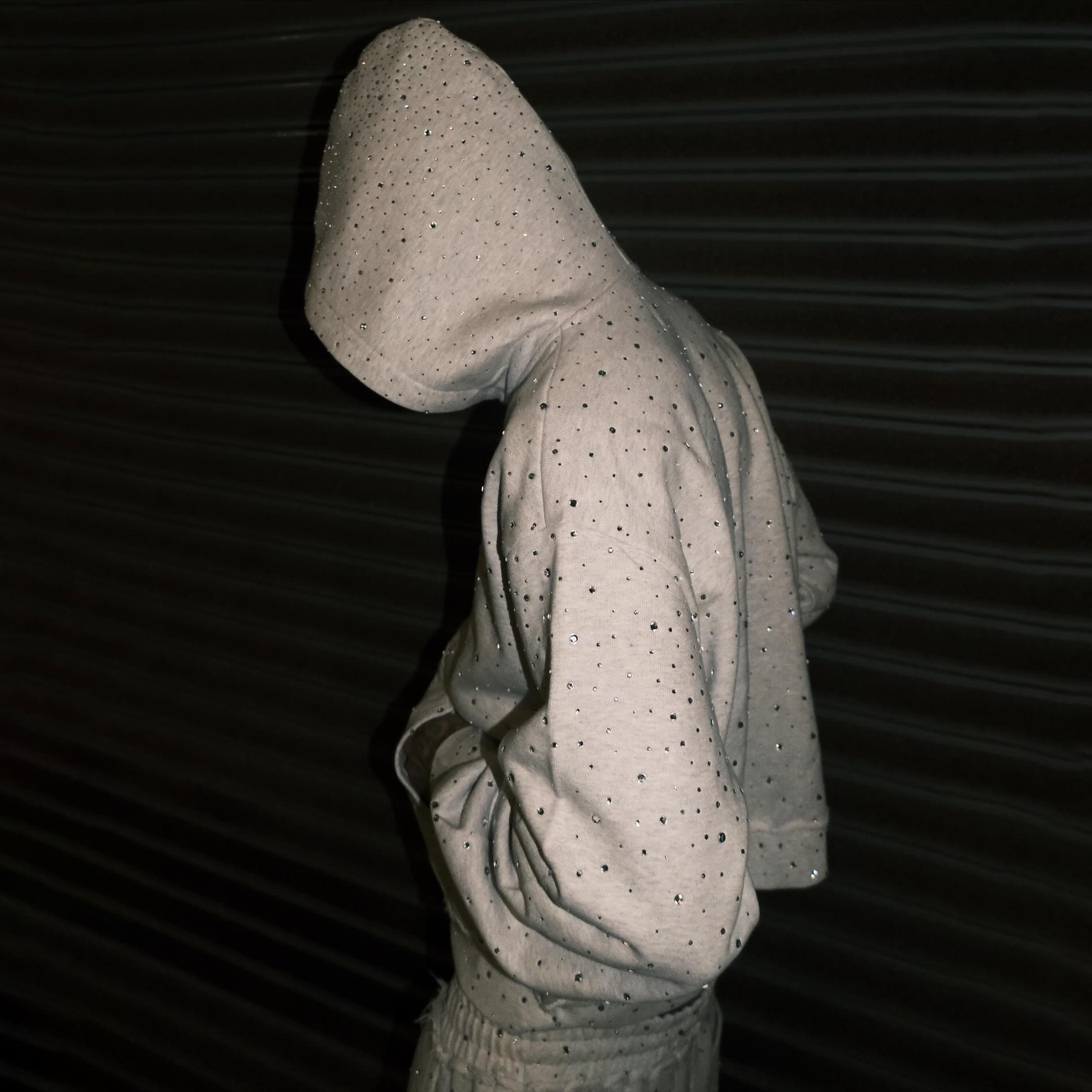 Puff Printing Hoodie