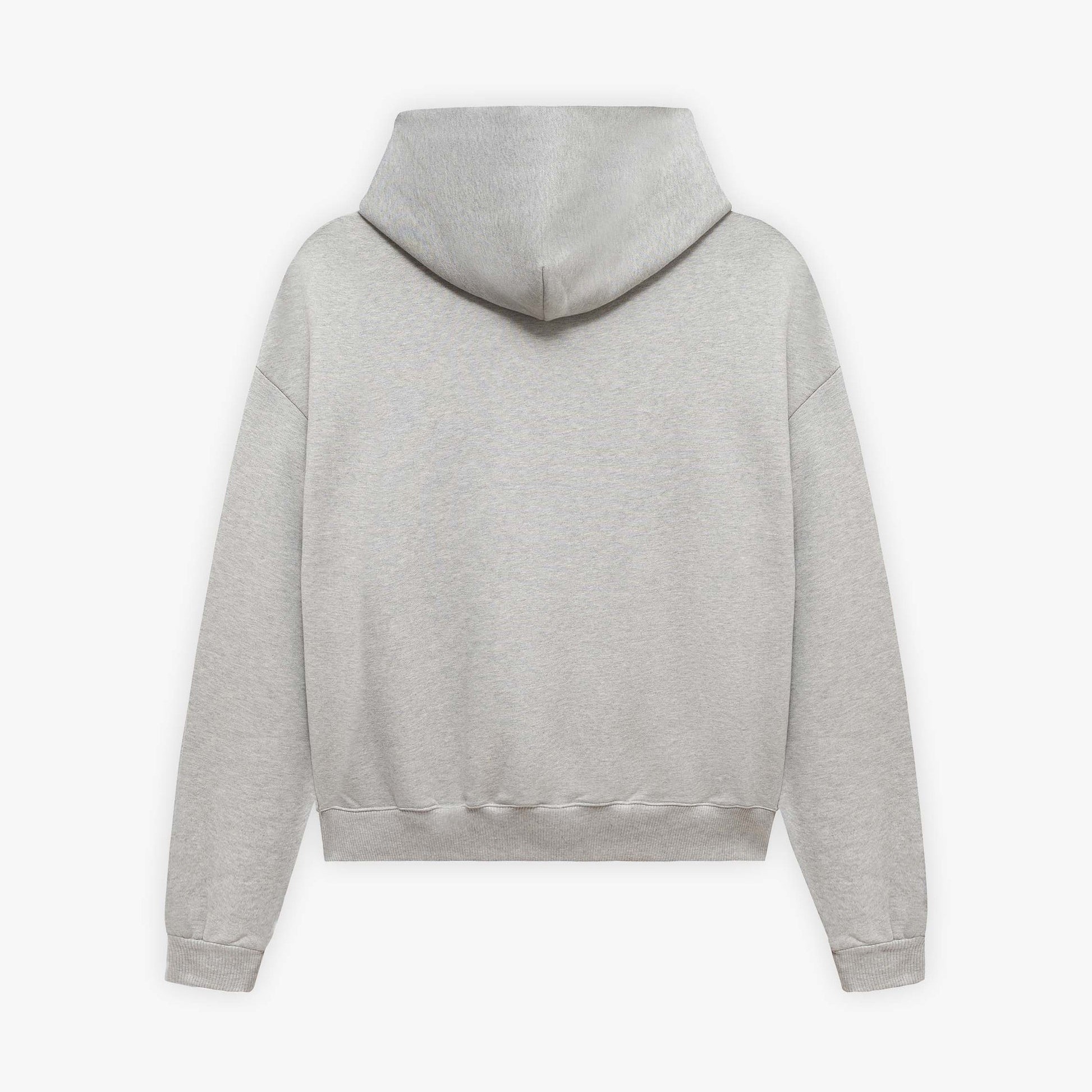 Puff Printing Hoodie