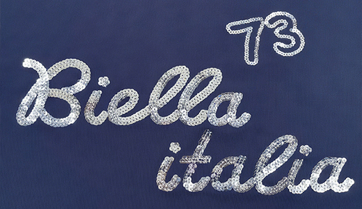 Sequins embroidery