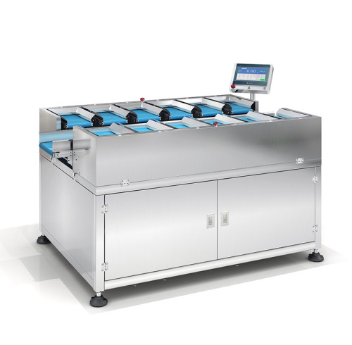 Belt Type Automatic Counterweight Combination Weigher SBW-2512B12