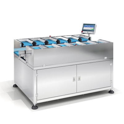 Belt Type Automatic Counterweight Combination Weigher SBW-2512B12
