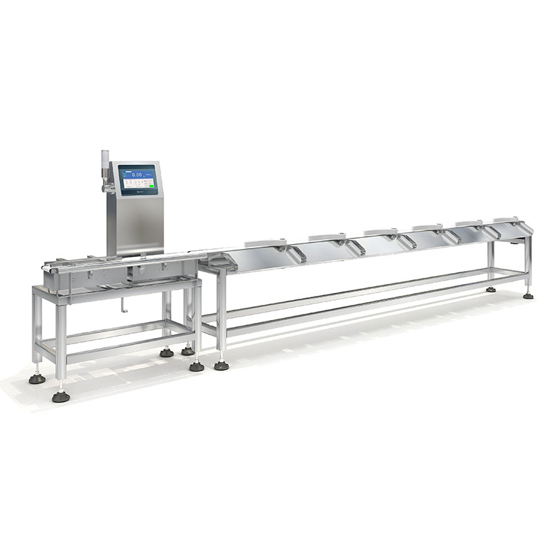 Automatic Multistage Weight Sorting Machine for Sea Food