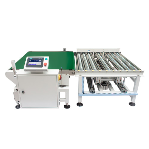 Heavy Automatic Checkweigher SC3-10070L80