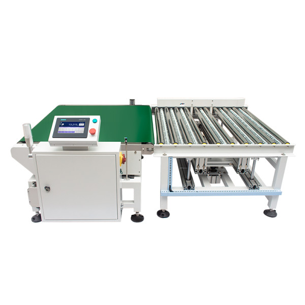Heavy Automatic Checkweigher SC3-10070L80