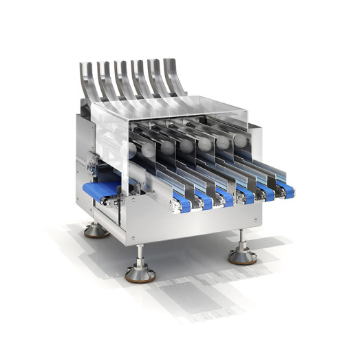 Multi-lane Checkweigher SCP6