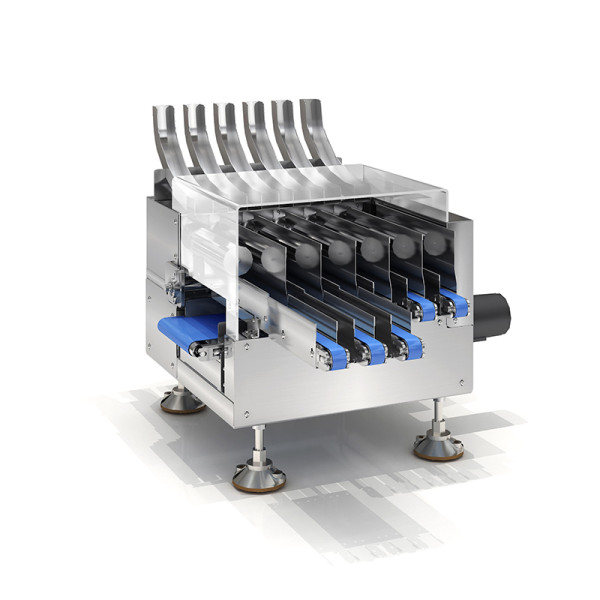 Multi-lane Checkweigher SCP6