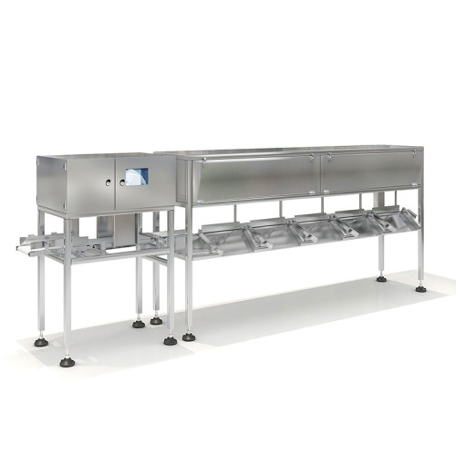Advanced Automatic Weight Sorter SWSD-4523L2
