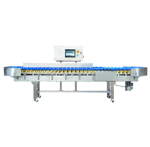 Tray-Based Automatic Weight Sorting Machine SWSR-750TC6 | High-Precision Fish & Lightweight Food Sorter