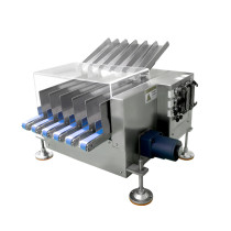 Multi-lane Checkweigher for Small Packaged Products SCP6