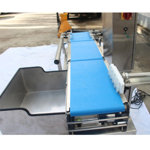 Hygienic Food Checkweigher – Accurate Lightweight Package Inspection SCF-4523L3