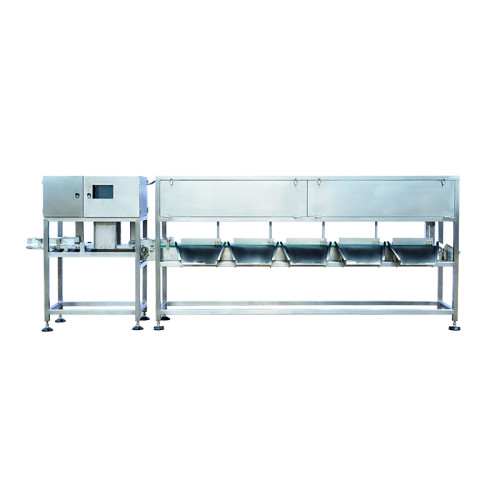 Advanced Automatic Weight Sorter SWSD-4523L2