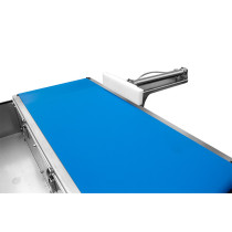 Heavy-Duty Pusher Rejector System – Checkweigher with Rejector for Industrial Lines