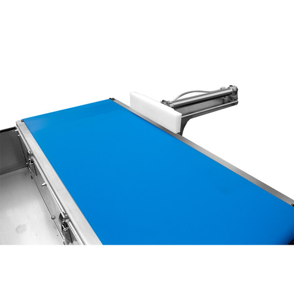 Heavy-Duty Pusher Rejector System – Checkweigher with Rejector for Industrial Lines