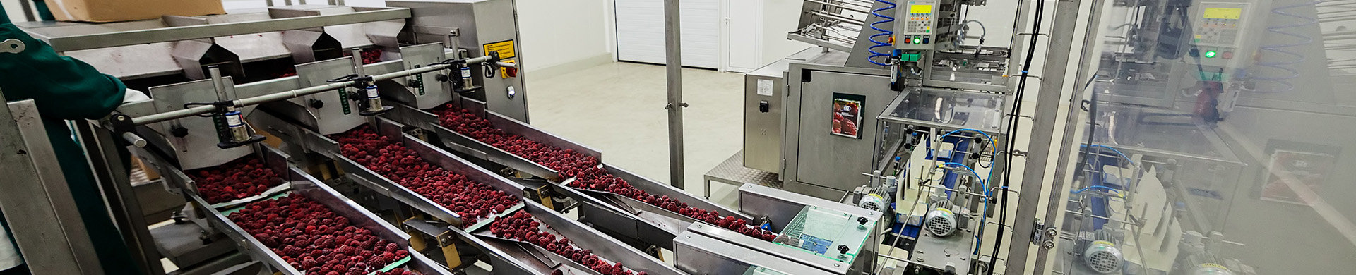 dynamic checkweigher for food processing industry