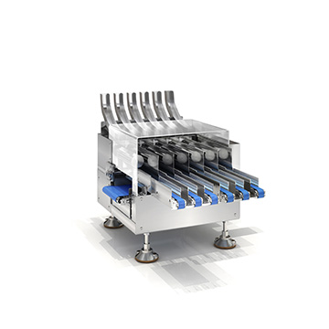 Multi-lane Checkweigher SCP6