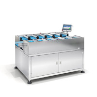 Combination Weigher: Accurate Weight Matching Solutions | SameGram