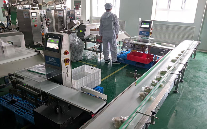 Food Industrial Metal Detectors