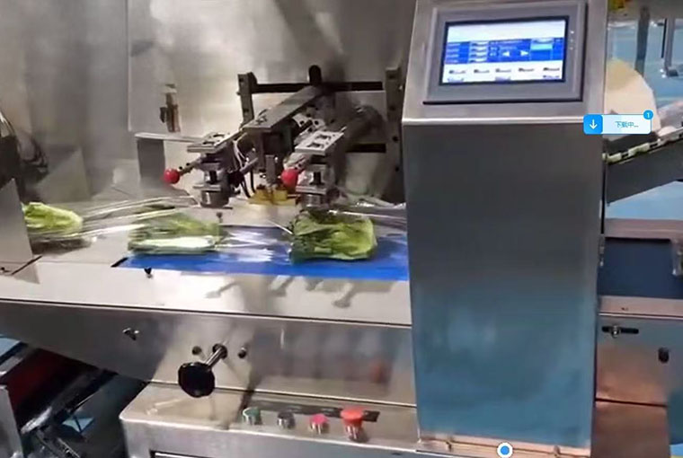 Fresh vegetable automated labeling