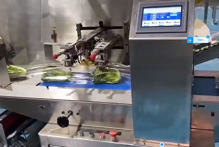 Checkweigher for Vegetable Packing