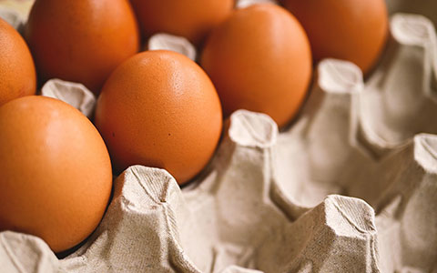 Checkweighers and metal detectors to detect contaminants in eggs and egg products