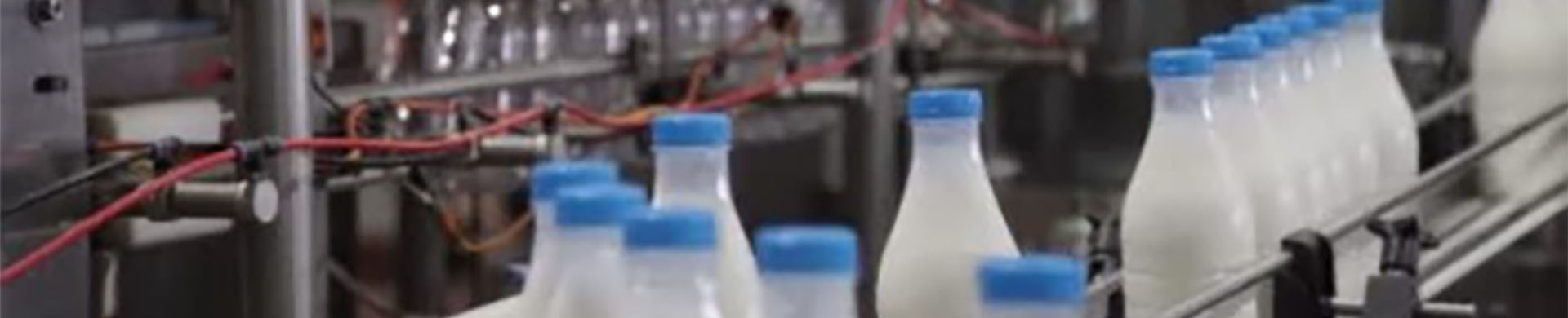 Checkweigher solutions for the dairy industry