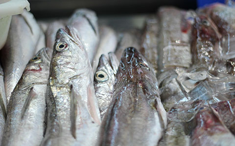 Weight Sorter Whole Frozen Fish