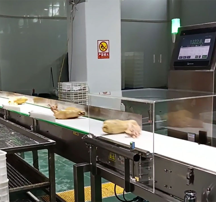Multi-Grade Meat Sorting: Boost Precision with Samegram Checkweigher