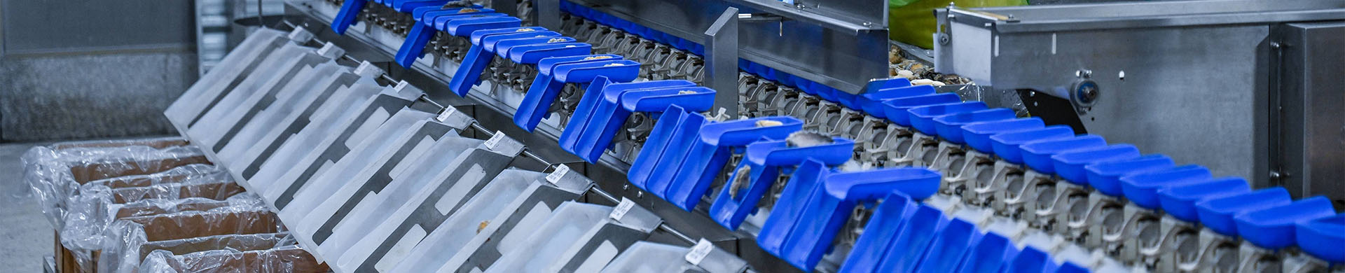 checkweigher used in Fish Seafood Meat Industry checkweigher