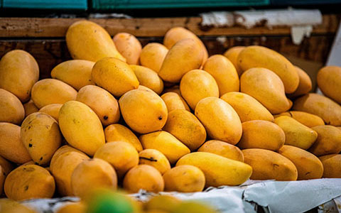 Tropical Fruits