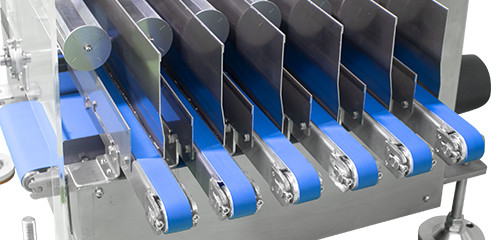 Multi-Lane Checkweighing Flexibility