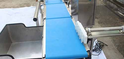 high-speed checkweigher with Flexible Line Integration